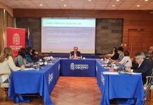 Se aprobó Plan de Gestión Cultural Osorno para el periodo 2023-2026