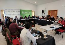 Aprueban 1.200 millones para centro de adultos mayores en Purranque