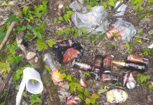 Red Ambiental de Osorno detecta una serie de microbasurales en la ribera del río Damas