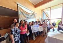 Aprueban proyecto de tendido eléctrico para sectores rurales de Puyehue