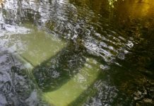 Encuentran auto hundido en el río Rahue