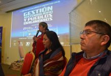 Pueblos originarios de todo el país se reunieron en Osorno para analizar la política energética chilena