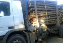 Carabineros ha detenido a más de 2.500 personas por delitos asociados al robo de madera