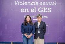 Día de la Eliminación de la Violencia contra Mujeres: Gobierno incorporó al GES la atención por agresiones sexuales