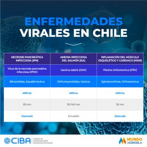 Pérdidas por robos a industria salmonera nacional está en los US$90 millones