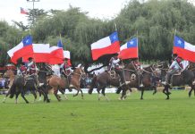 Conjunto ecuestre Palmas de Peñaflor deleitó a más de 5000 personas en Fisur 2022