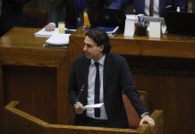 Mirosevic: Vamos a desempolvar 30 proyectos de urgencias sociales en la Cámara Baja