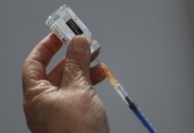 Llaman a vacunarse contra la influenza para evitar el riesgo de coinfección con la gripe aviar