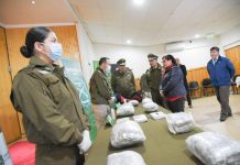 Carabineros de Valdivia decomisaron cerca de 10 kilos de droga en control carretero