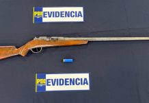PDI detuvo a hombre por porte ilegal de arma en Corral: vecinos lo acusan de disparar a animales