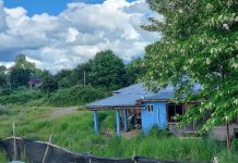 Vecinos de Osorno denuncian ocupación ilegal de vivienda en Altos de Pilauco