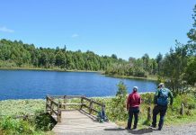 Gobierno Regional aprobará proyecto de electrificación para sector rural de San Juan de la Costa