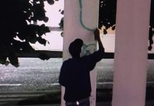 Llaman a la comunidad de Osorno a cuidar la fachada de la ciudad previo al verano