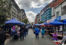 Comercio ambulante se instaló en masa en el centro de Osorno a pesar de existir ordenanza municipal