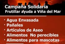 Municipios de la región realizan campaña solidaria para llevar ayuda a personas de Viña de Mar afectadas por incendio