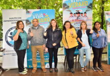 Cámara de Comercio Osorno y Agrupación de Emprendedores Unidos lanzan feria “Viva Verano”