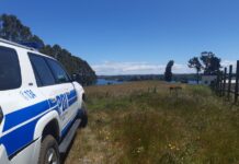 Decretan preventiva para presunto autor de femicidio con violación de una joven en Calbuco