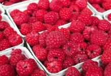 Ministerio de Agricultura anuncia investigación por frambuesas con hepatitis A exportadas a EE.UU