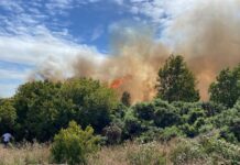 Decretan alerta amarilla en Puerto Montt por incendios de tipo forestal