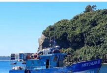 Tripulantes de lancha extraviada hace 10 días en las costas de Chiloé están con vida