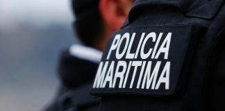 Pasajero de motonave murió tras precipitarse al mar cuando viajaba entre Puerto Montt y Ayacara