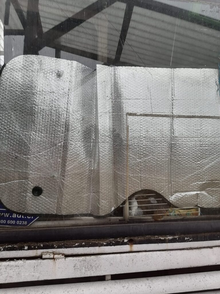 Vecina de Rahue Alto denuncia por la sexta ocasión que le roban su local comercial