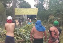 Senadores de la Región de Los Lagos criticaron actos de violencia contra Carabineros en San Juan de La Costa