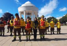 Conaf Osorno hizo un llamado a cortar pastizales para evitar incendios forestales