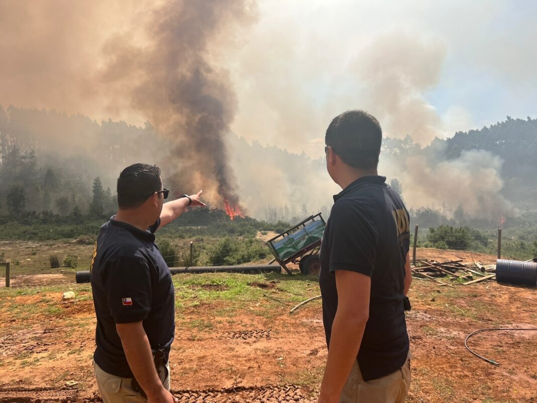 WhatsApp Image 2022-12-30 at 11.44.27