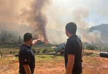 Inician investigaciones por incendio forestal en Paillaco mientras que sigue la evacuación preventiva en ese sector