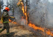 Instalan comité de emergencia en San Pablo de forma preventiva ante posibles incendios forestales
