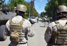 Aprueban nueva prórroga del Estado de Excepción en macrozona sur