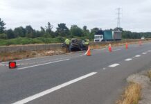 Una menor de 4 años falleció en accidente ocurrido en la Ruta 5 Sur, comuna de Calbuco