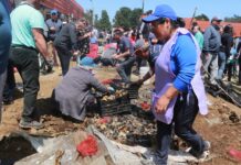 Todo listo para el Curanto Gigante de este domingo 22 en Calbuco