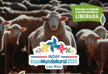 Expo Mundo Rural Los Ríos