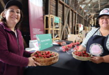 Hoy continúa ExpoMundoRural Los Lagos 2023 en Puerto Varas