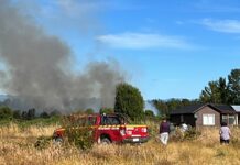 Bomberos, personal de Conaf y un helicóptero combaten incendio forestal en sector de Pelluco, comuna de Puerto Montt