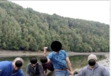 Buscan a sujetos que habrían matado a pedradas a dos tiburones en Chiloé