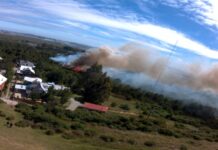 Autoridades a la prevención de incendios forestales. Siniestros pueden atentar contra los bienes y la integridad humana