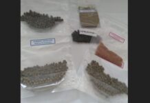 Crean alimento para peces en base a “residuos” de la industria acuícola