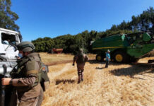 Plan Cosecha Segura: Agricultores de Malleco confirman que las extorsiones siguen