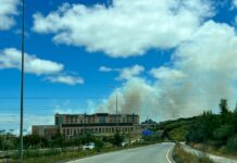 Se declara Alerta Roja para la comuna de Puerto Montt por incendio forestal