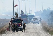 Contienen incendio forestal que consumió 40 hectáreas de matorrales en Puerto Montt