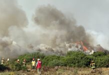 Senapred activa alertas en la provincia de Llanquihue y Quellón