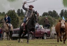 Representantes de SAGO A.G participarán en Expo Rural Bariloche