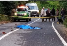 Joven muere por atropello en sector rural de Lago Ranco