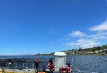 Sernapesca confirma escape de más de 20 mil peces en el Lago Llanquihue desde centro de cultivo