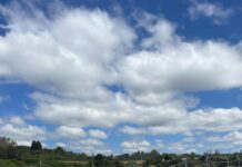 Continúa proceso de recaptura de salmones escapados desde centro de engorda en Lago Llanquihue