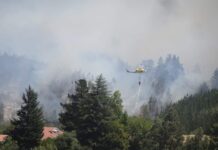 Se declara Alerta Roja para la comuna de Mariquina por incendio forestal