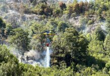 Incendios forestales de la Provincia de Osorno se controlaron en su totalidad, mientras que en Palena se mantiene la Alerta Roja